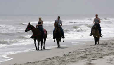 HORSES ON BEACH 10-28-09 CANCER BENEFIT