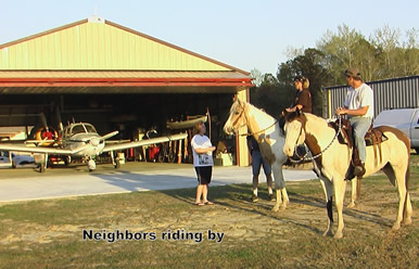 Horses Riding